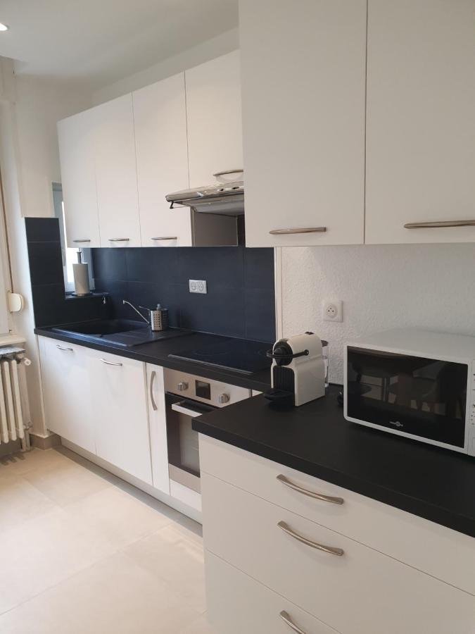 Appartement De Prestige Au Centre Climatise Avec Jardin Prive Colmar Exterior foto