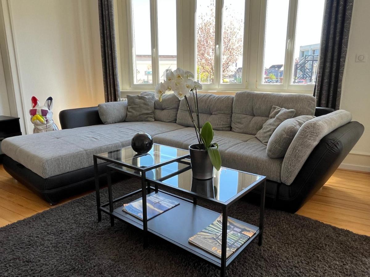 Appartement De Prestige Au Centre Climatise Avec Jardin Prive Colmar Exterior foto