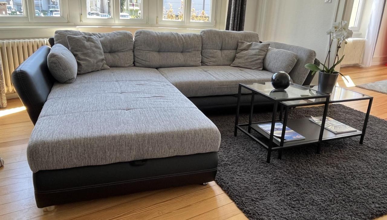 Appartement De Prestige Au Centre Climatise Avec Jardin Prive Colmar Exterior foto