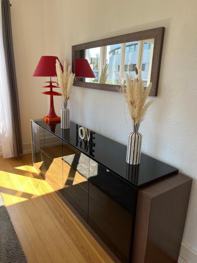 Appartement De Prestige Au Centre Climatise Avec Jardin Prive Colmar Exterior foto