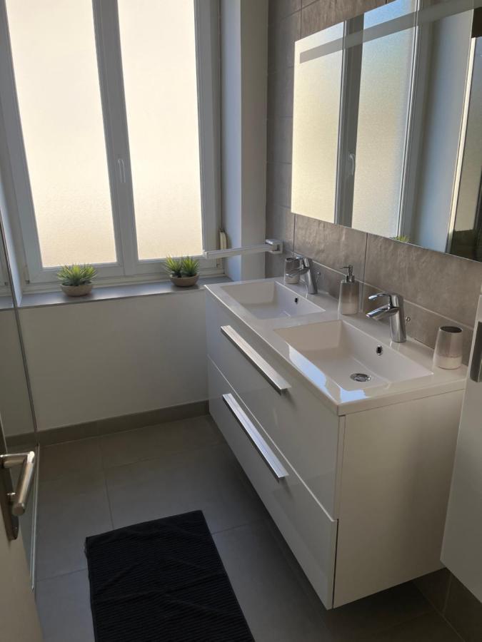 Appartement De Prestige Au Centre Climatise Avec Jardin Prive Colmar Exterior foto
