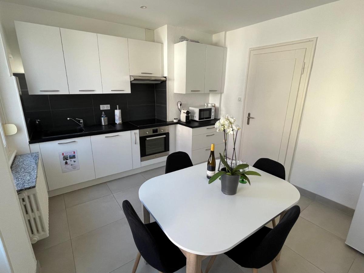 Appartement De Prestige Au Centre Climatise Avec Jardin Prive Colmar Exterior foto