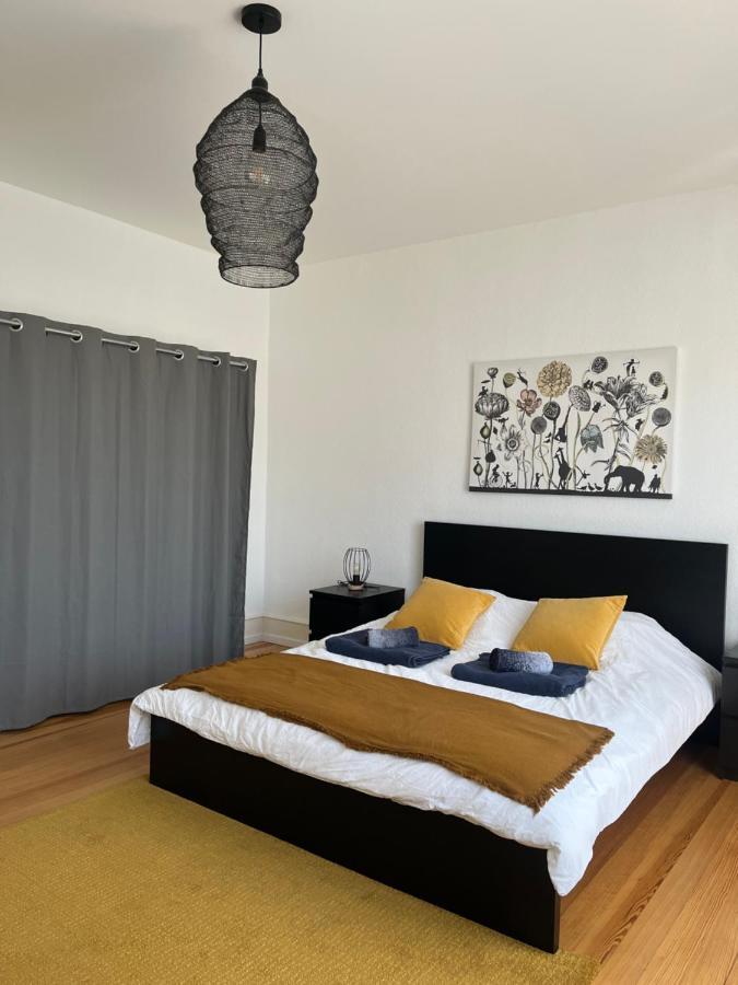 Appartement De Prestige Au Centre Climatise Avec Jardin Prive Colmar Exterior foto
