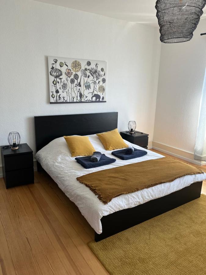 Appartement De Prestige Au Centre Climatise Avec Jardin Prive Colmar Exterior foto