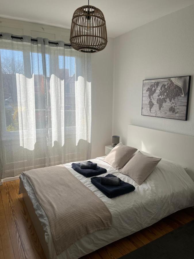 Appartement De Prestige Au Centre Climatise Avec Jardin Prive Colmar Exterior foto